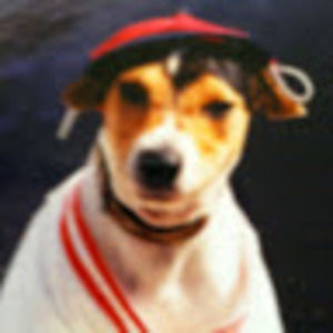 Meet your Posher, Tia